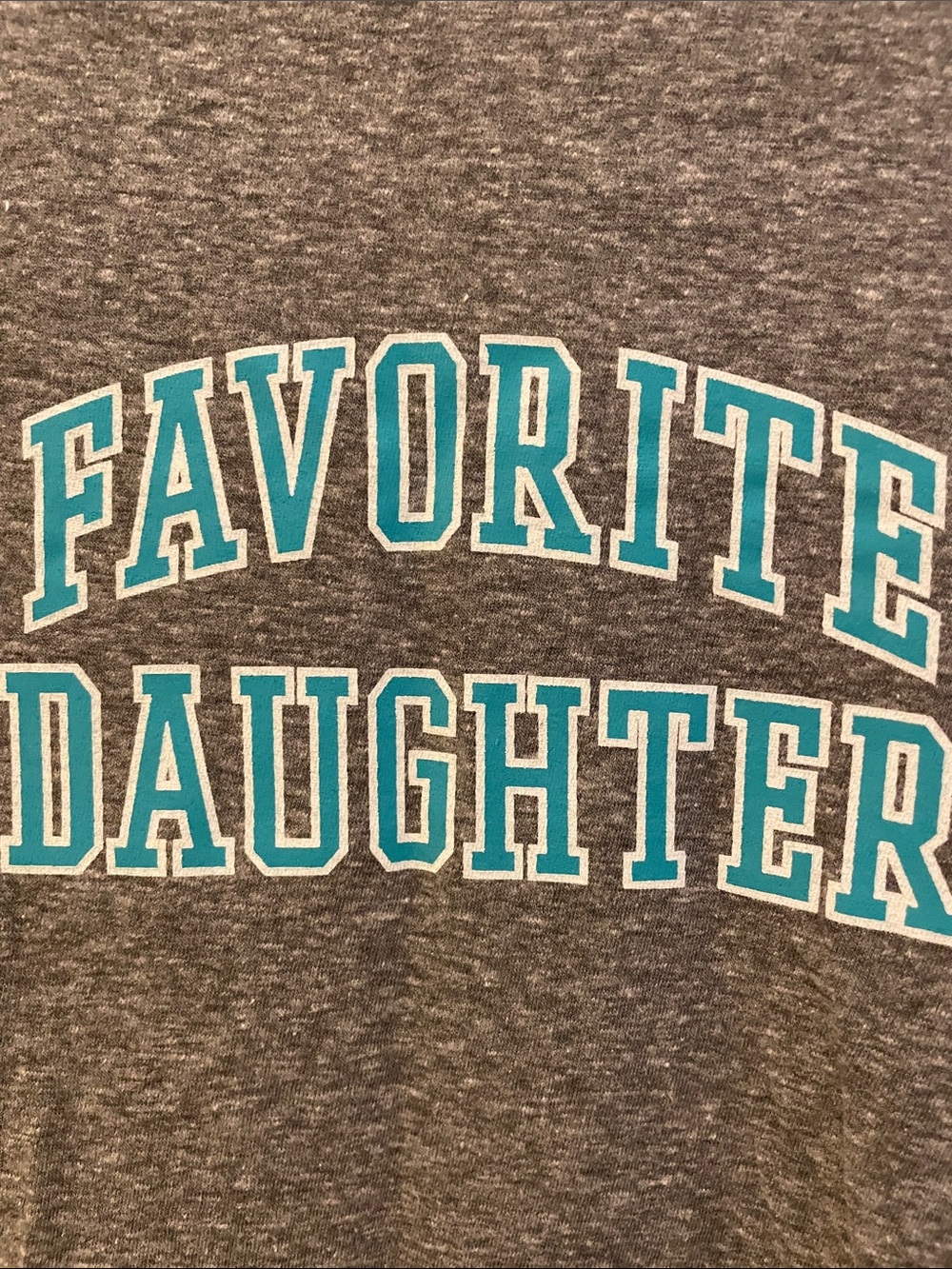 NWT Favorite Daughter Gray Tee with Turquoise Graphic XL - Picture 6 of 7